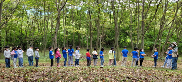 솔태생태숲을 찾은 어린이들이 체험프로그램을 즐기거 있다.